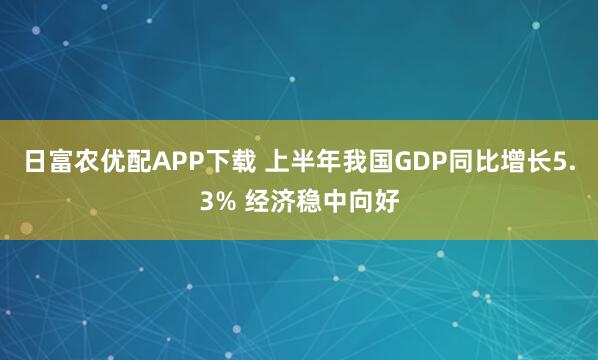 日富农优配APP下载 上半年我国GDP同比增长5.3% 经济稳中向好