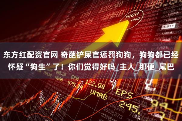 东方红配资官网 奇葩铲屎官惩罚狗狗，狗狗都已经怀疑“狗生”了！你们觉得好吗_主人_那便_尾巴