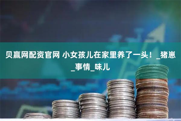 贝赢网配资官网 小女孩儿在家里养了一头！_猪崽_事情_味儿