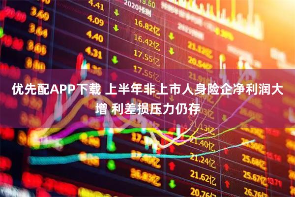 优先配APP下载 上半年非上市人身险企净利润大增 利差损压力仍存