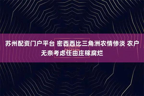 苏州配资门户平台 密西西比三角洲农情惨淡 农户无奈考虑任由庄稼腐烂