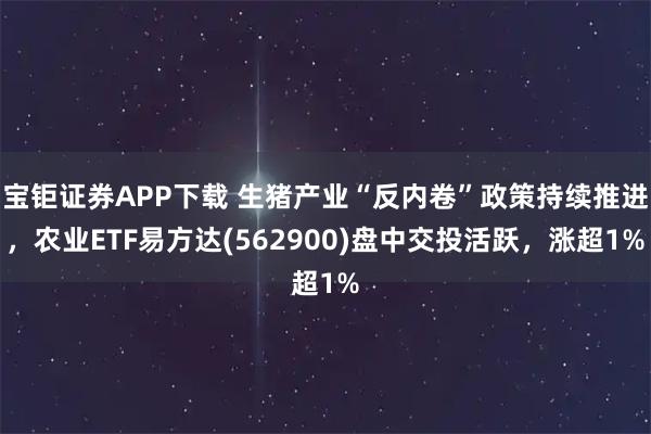 宝钜证券APP下载 生猪产业“反内卷”政策持续推进，农业ETF易方达(562900)盘中交投活跃，涨超1%